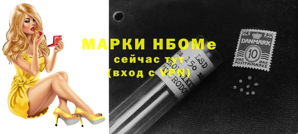 гидра Елабуга