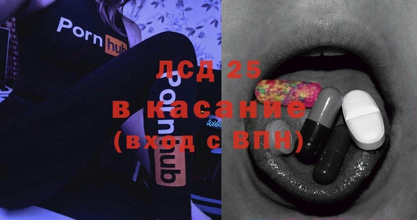 гидра Елабуга