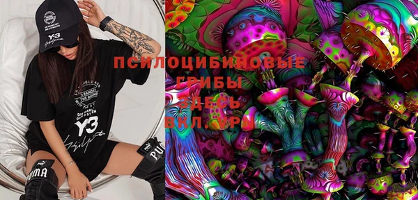 гидра Елабуга