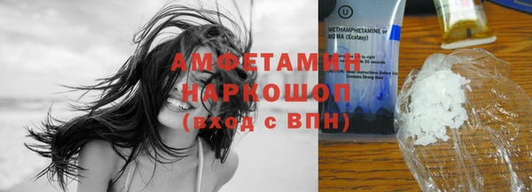 гидра Елабуга