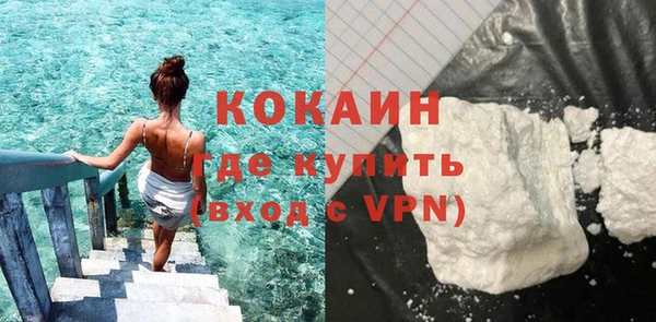 молекула духа Ельня