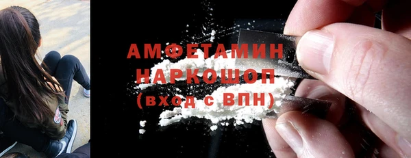 молекула духа Ельня