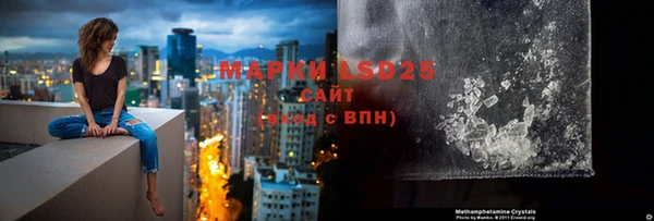 молекула духа Ельня