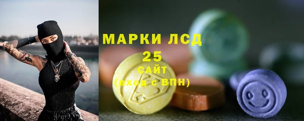 молекула духа Ельня