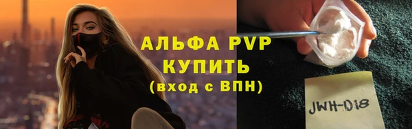 гидра Елабуга