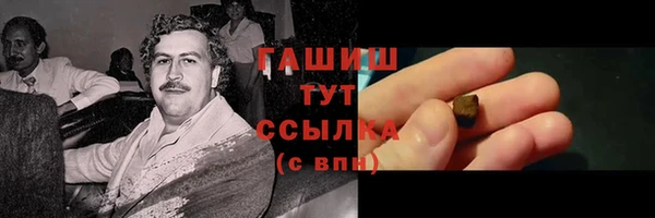 молекула духа Ельня