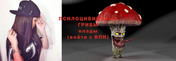 молекула духа Ельня