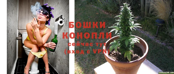 молекула духа Ельня