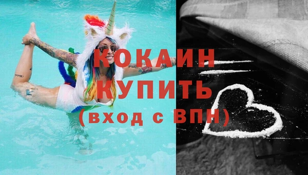 гидра Елабуга