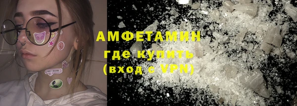 молекула духа Ельня