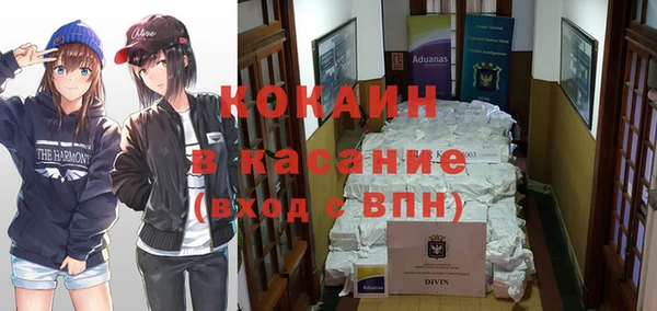 молекула духа Ельня