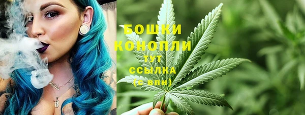 молекула духа Ельня
