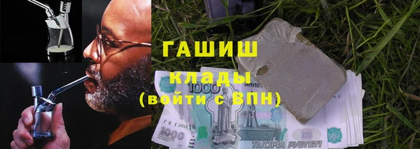 молекула духа Ельня
