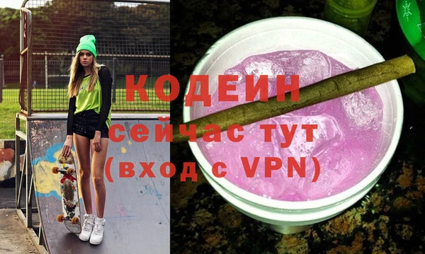 молекула духа Ельня