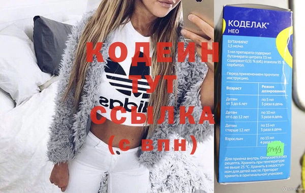 молекула духа Ельня