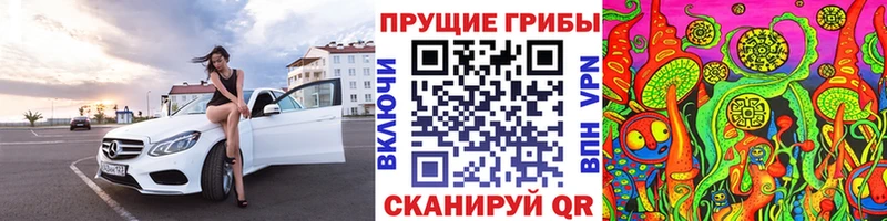Купить  Покров  Галлюциногенные грибы Psilocybine cubensis 